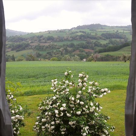 Tavoleto Le Bumbarelle Bed & Breakfast エクステリア 写真