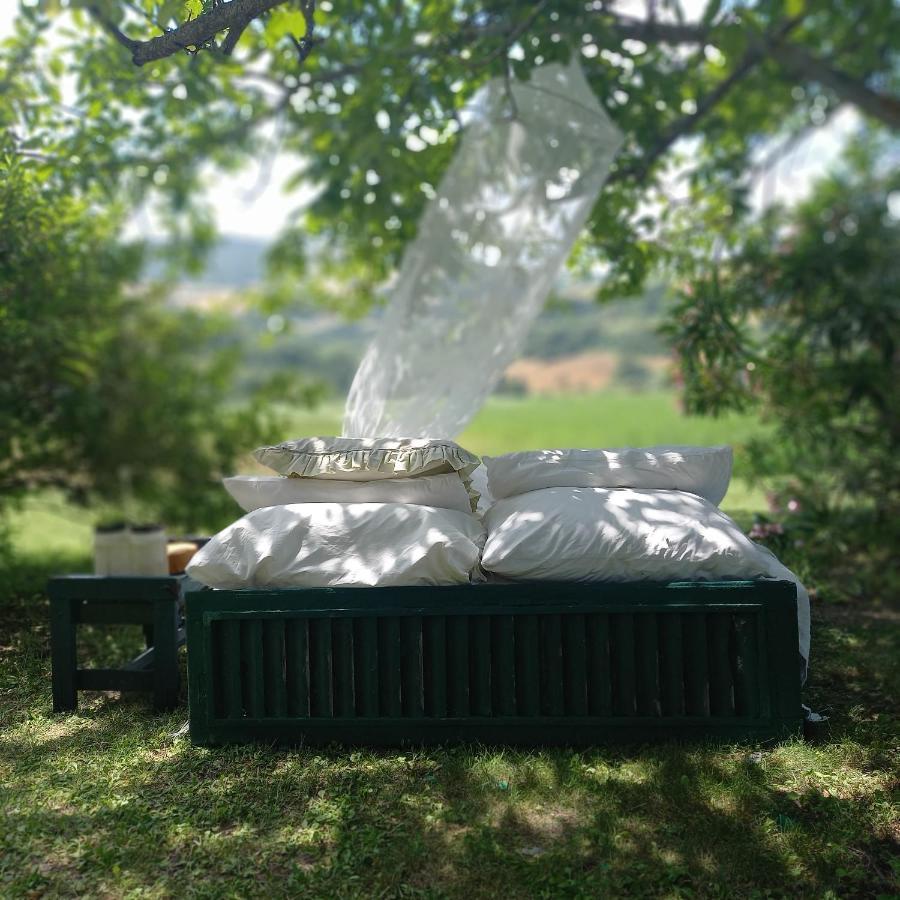 Tavoleto Le Bumbarelle Bed & Breakfast エクステリア 写真