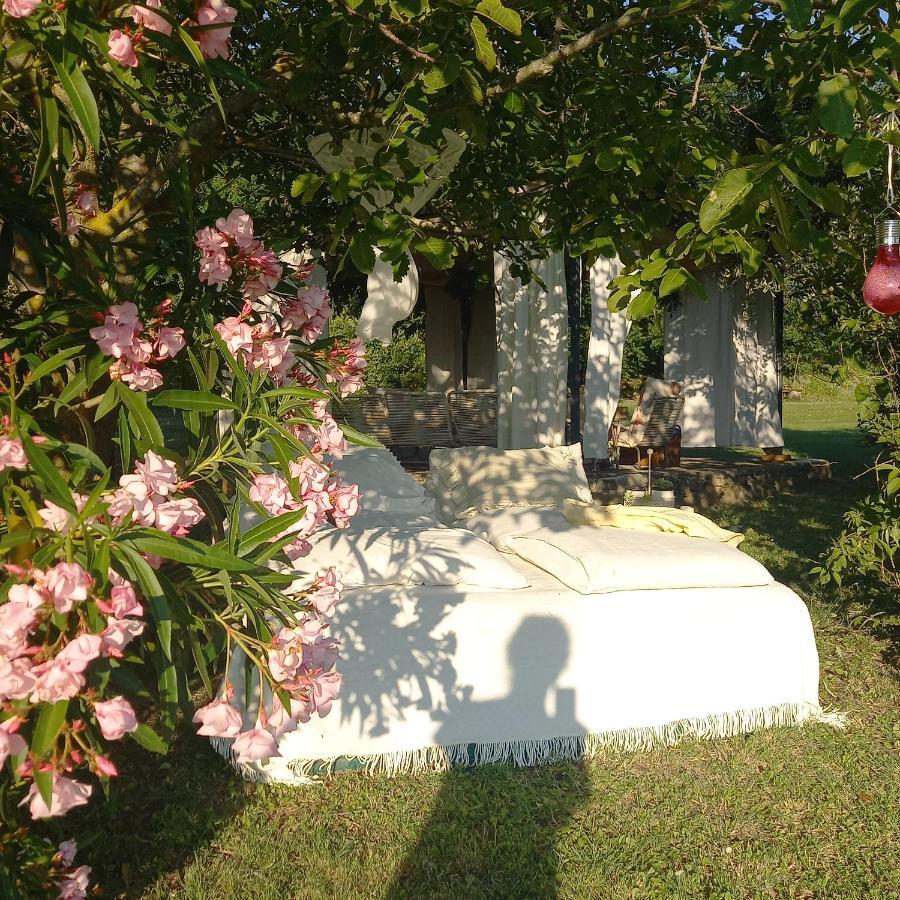 Tavoleto Le Bumbarelle Bed & Breakfast エクステリア 写真