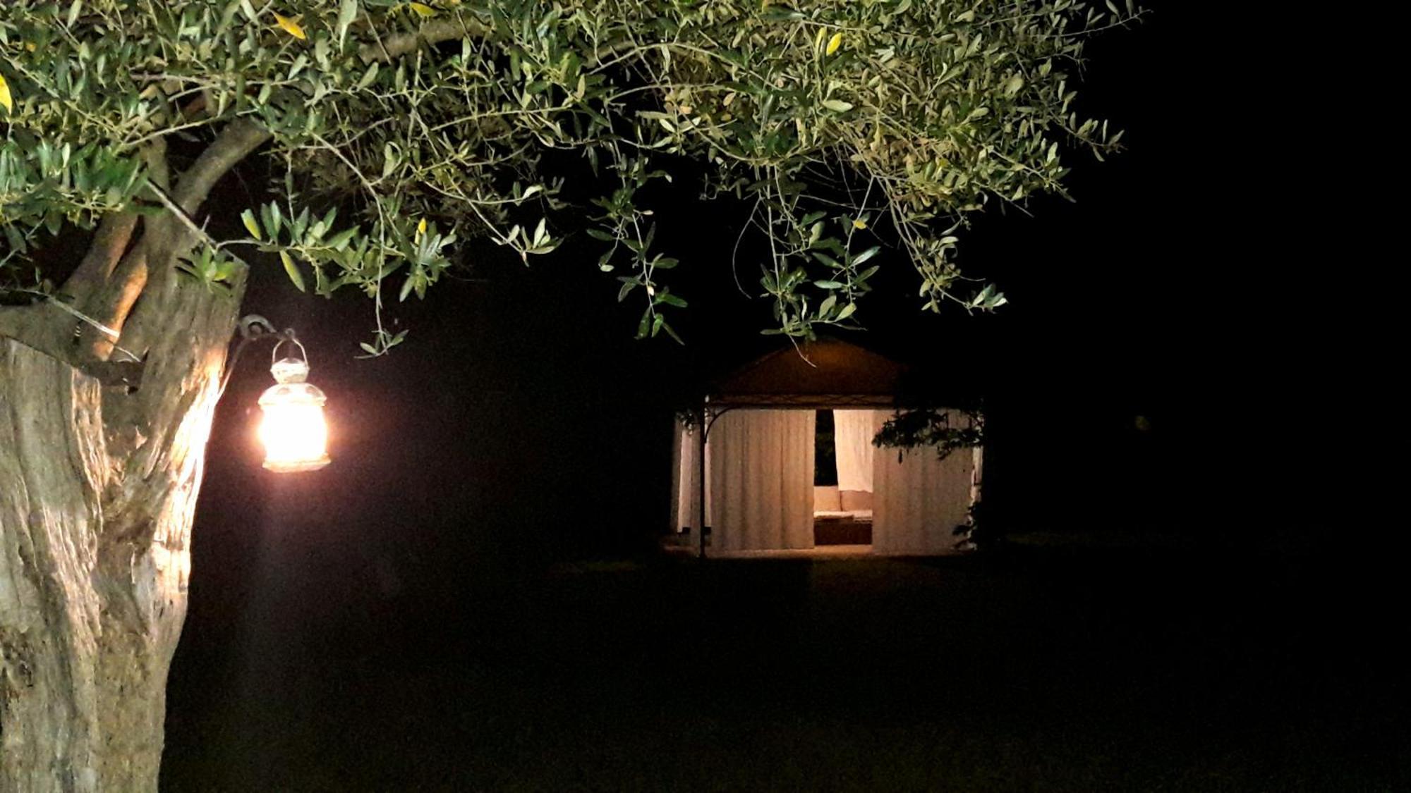 Tavoleto Le Bumbarelle Bed & Breakfast エクステリア 写真