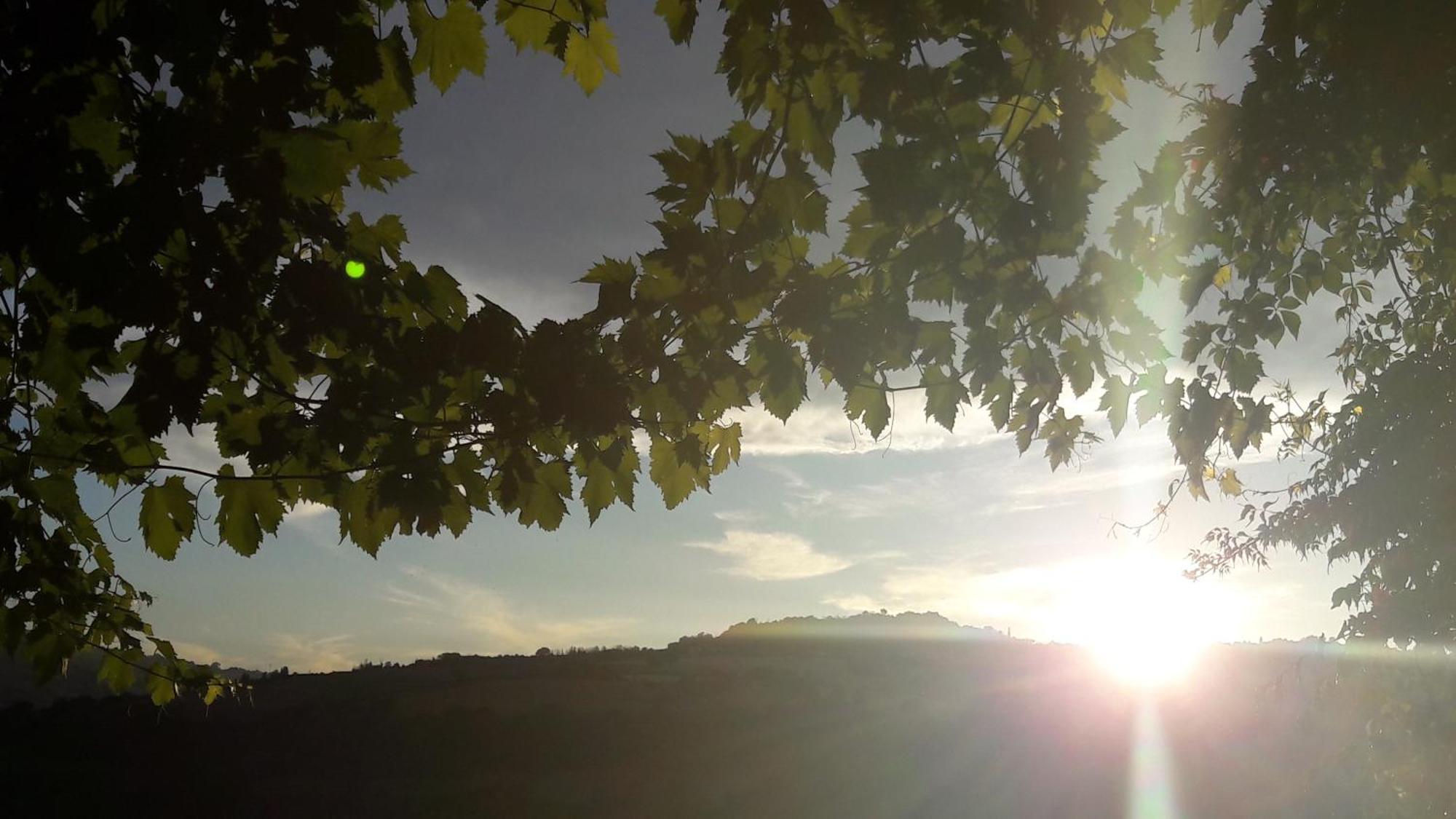 Tavoleto Le Bumbarelle Bed & Breakfast エクステリア 写真