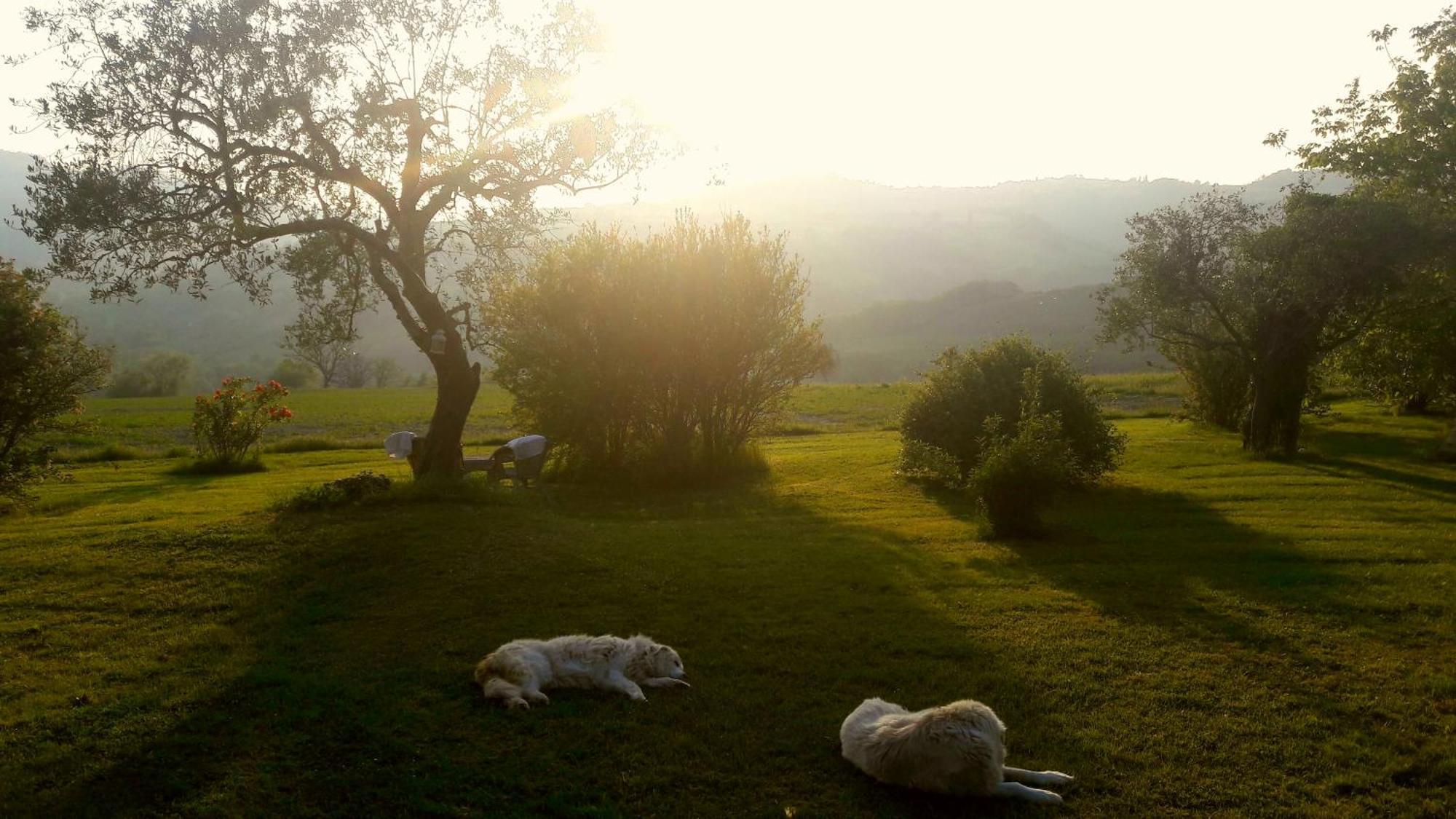 Tavoleto Le Bumbarelle Bed & Breakfast エクステリア 写真
