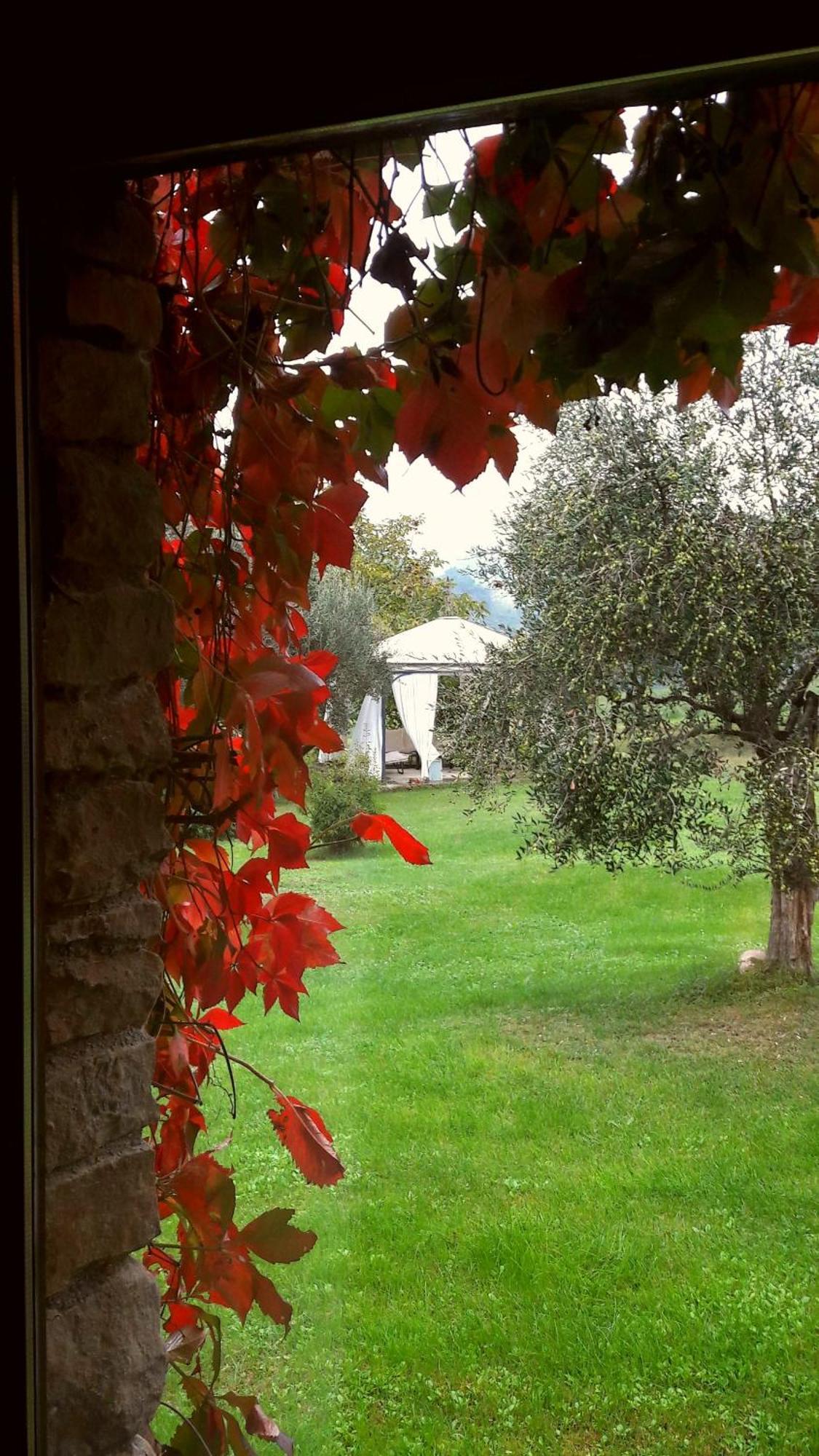 Tavoleto Le Bumbarelle Bed & Breakfast エクステリア 写真