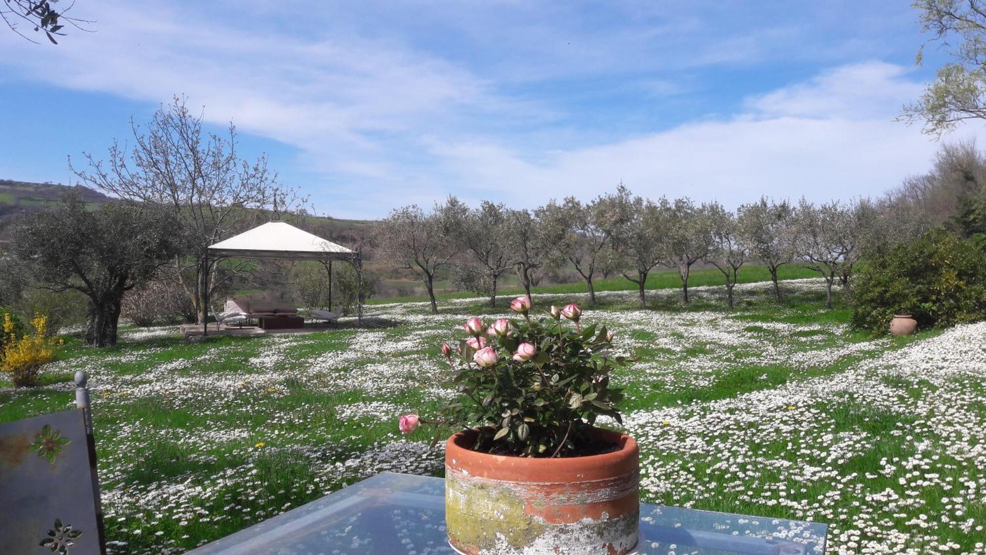 Tavoleto Le Bumbarelle Bed & Breakfast エクステリア 写真