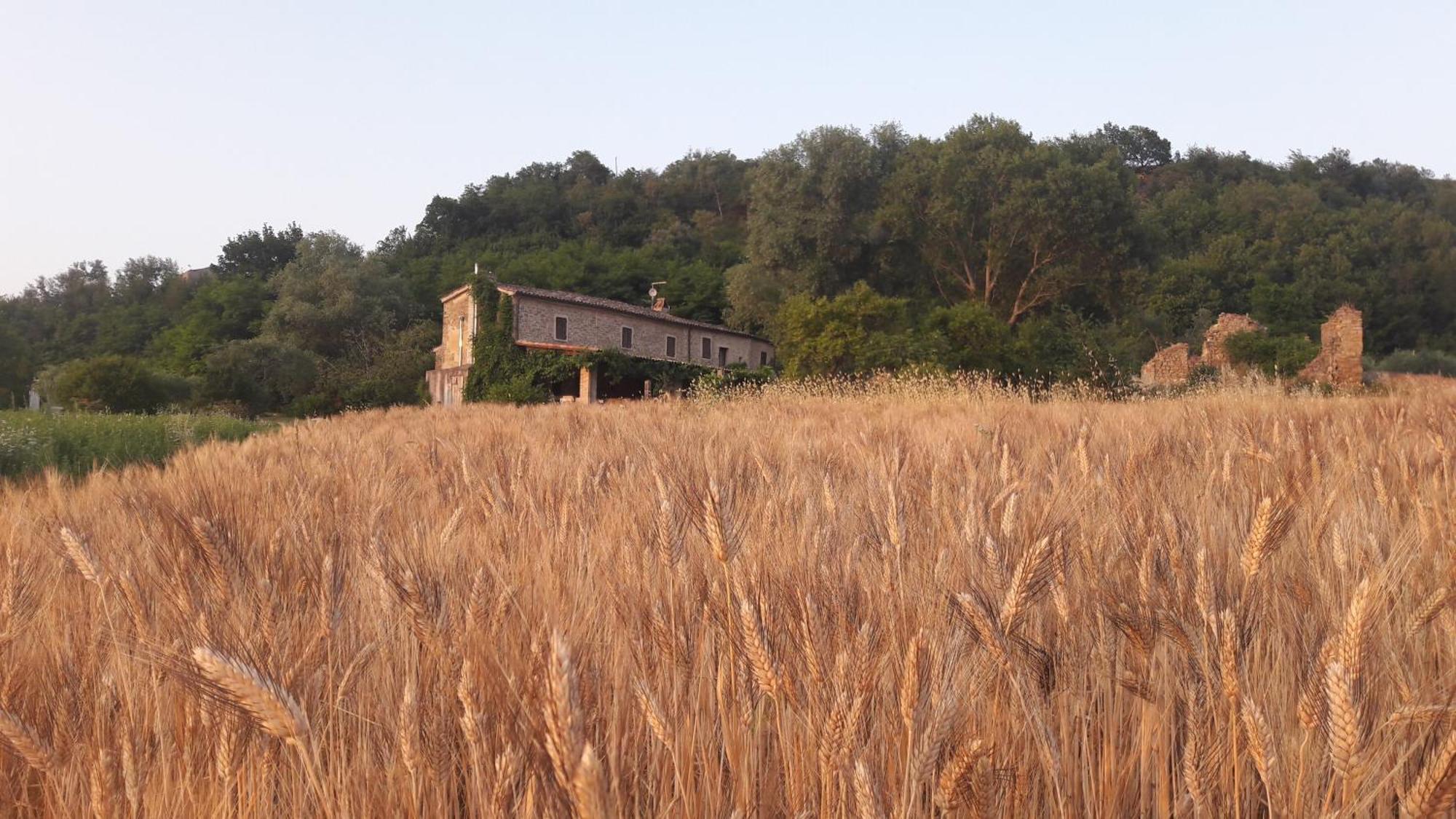 Tavoleto Le Bumbarelle Bed & Breakfast エクステリア 写真