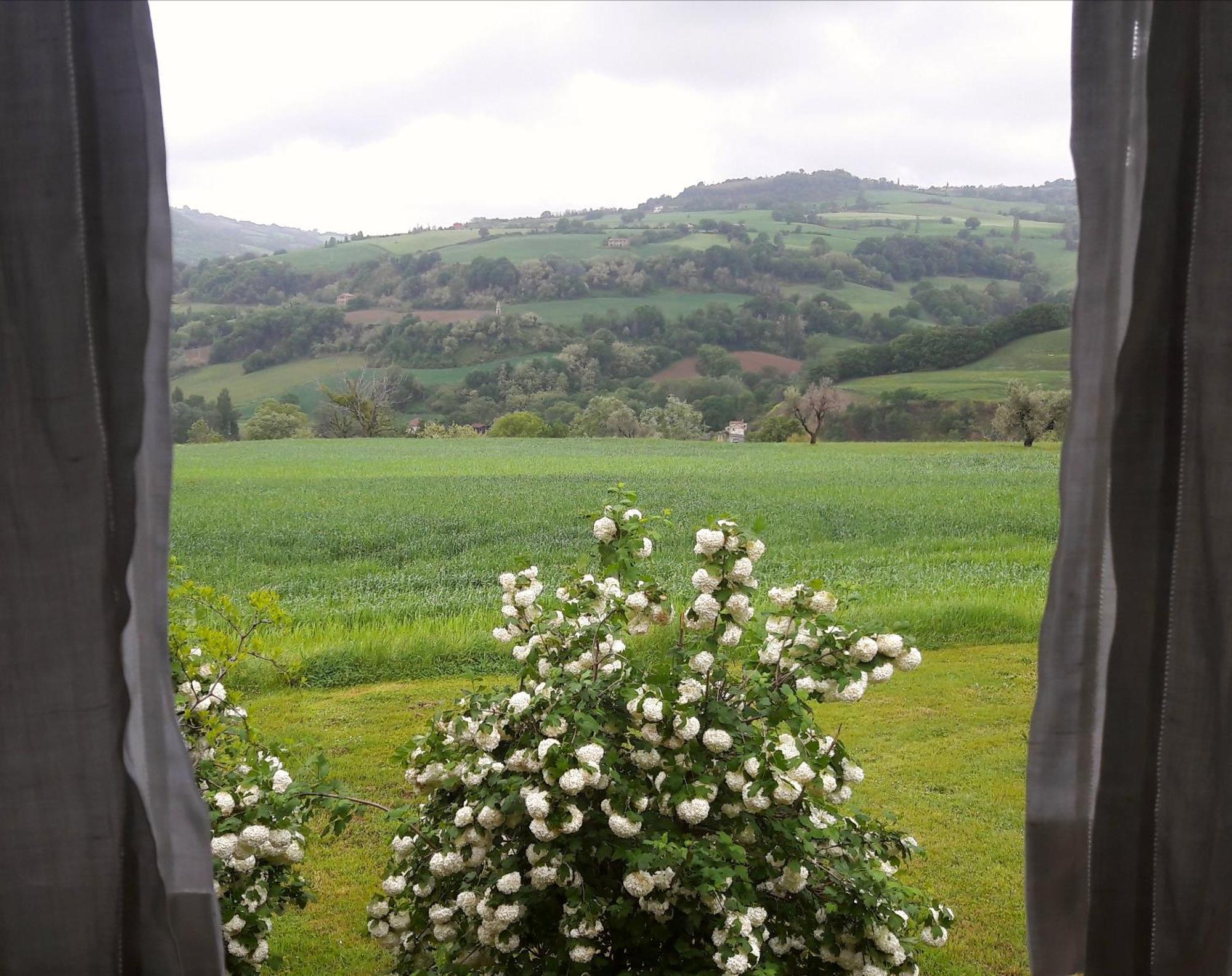Tavoleto Le Bumbarelle Bed & Breakfast エクステリア 写真