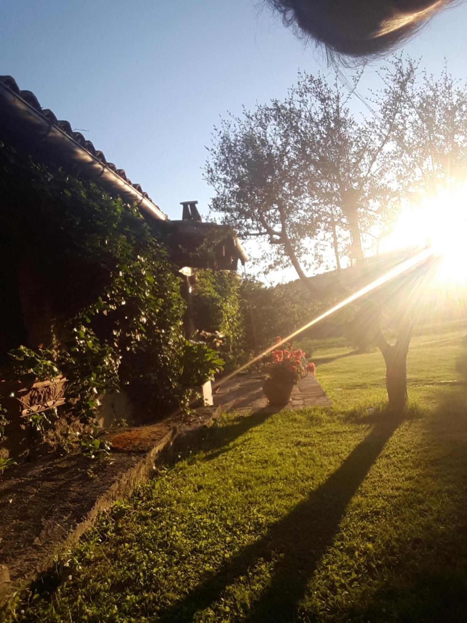 Tavoleto Le Bumbarelle Bed & Breakfast エクステリア 写真