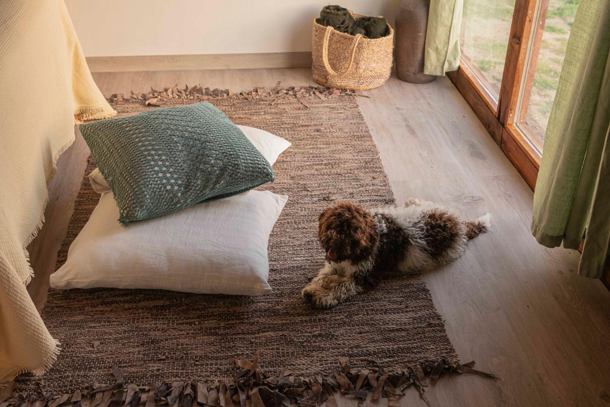 Tavoleto Le Bumbarelle Bed & Breakfast エクステリア 写真